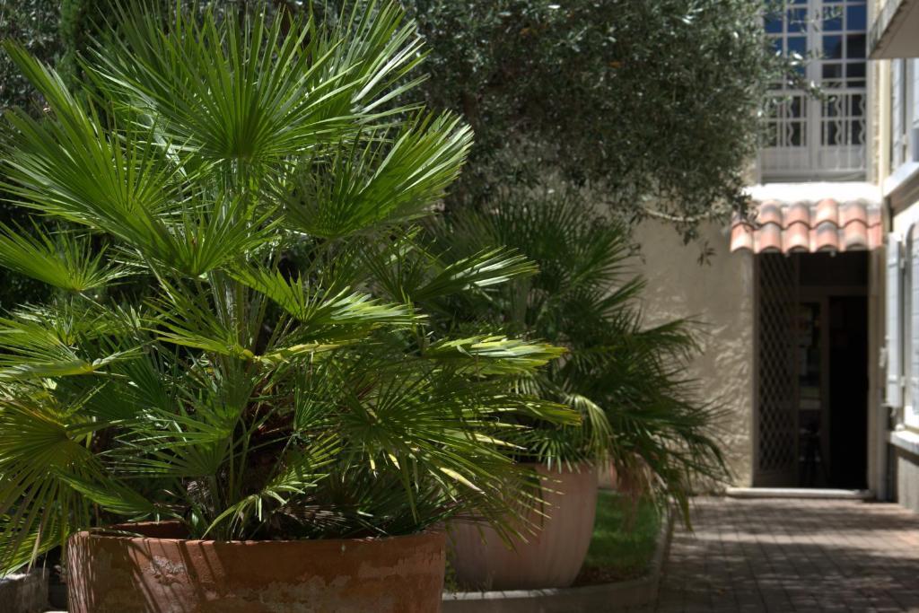 Hotel Du Cheval Blanc Saint-Remy-de-Provence Luaran gambar